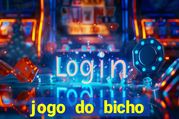 jogo do bicho crash bingo